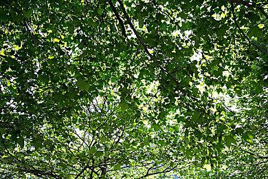 《新星岛物语》宣布跳票 2023年1月17日发售