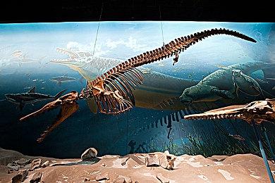 《WWE 2K22》官方公布预告片 确认3月11日推出