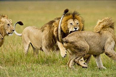 2D格斗游戏《Blazing Strike》延期至秋季发售